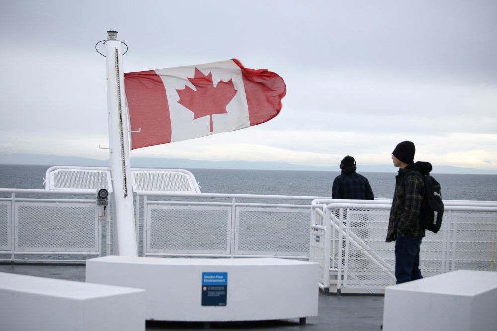 Immigration Consultant